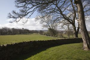 barnard castle ox pasture farm 34 sm.jpg